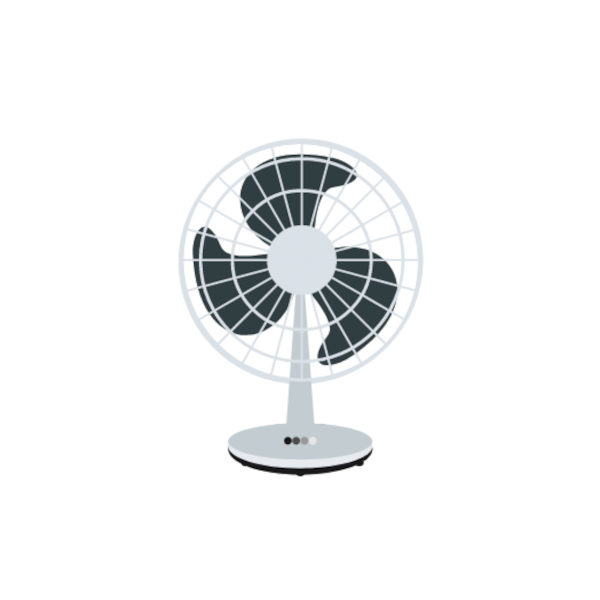 Fan